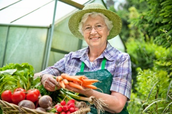 elderly woman gardening vegetables