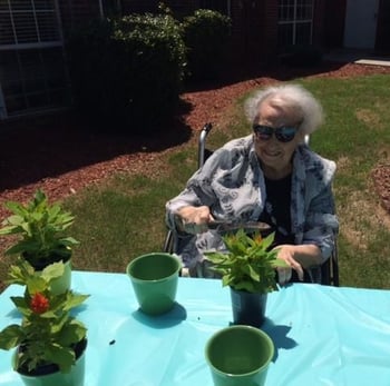 Elderly woman growing her passion for gardening
