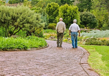 Communication between two elderly friends