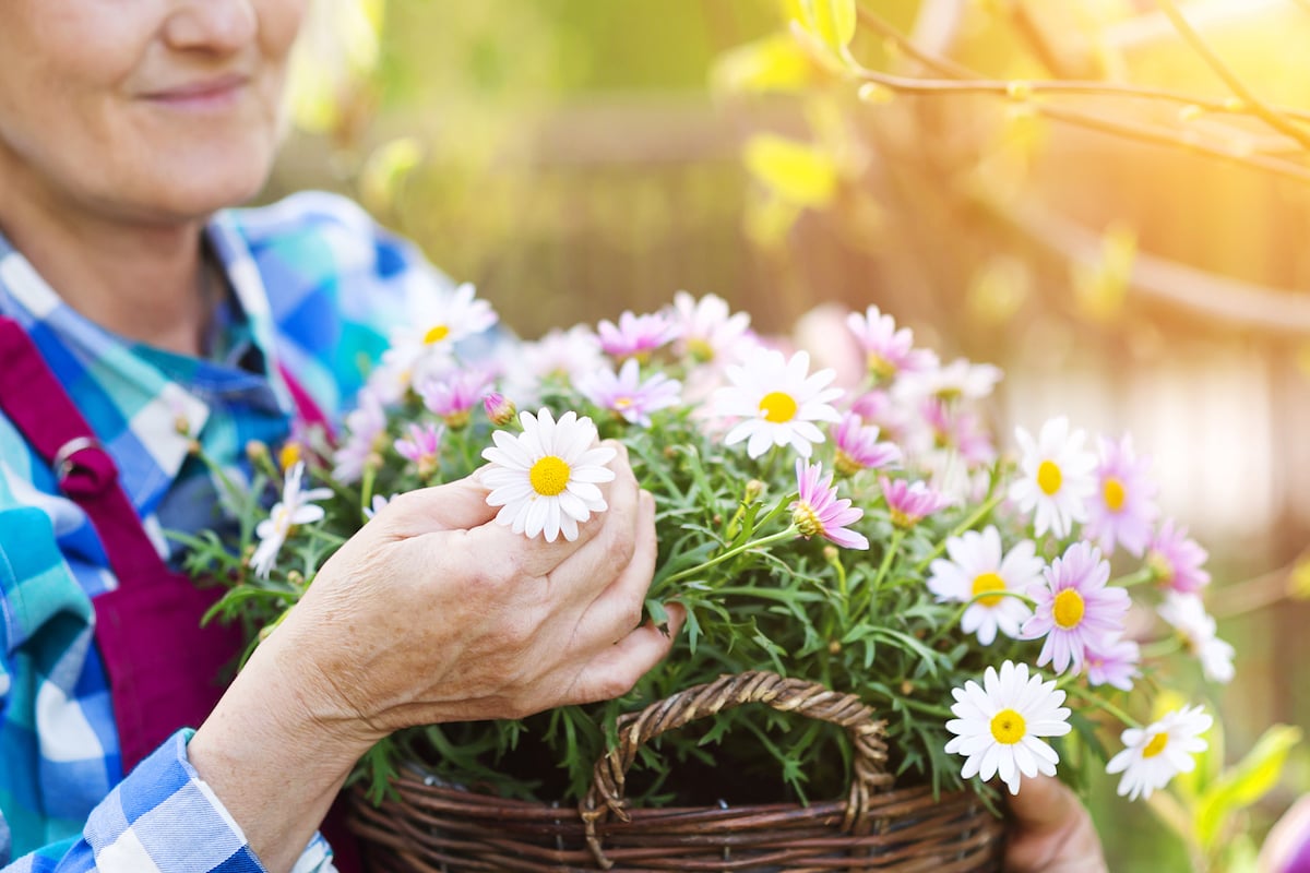 Senior Woman with Bouquet