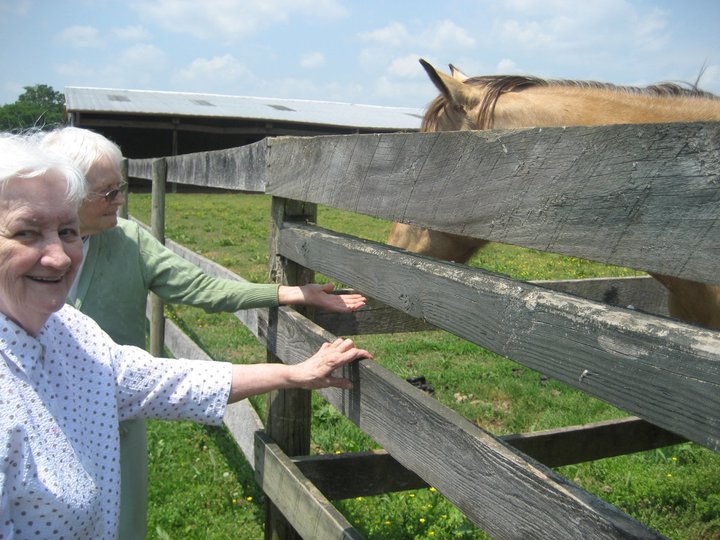 elderly women visit a farm and horses